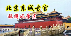 jjzz污污在线看视频中国北京-东城古宫旅游风景区